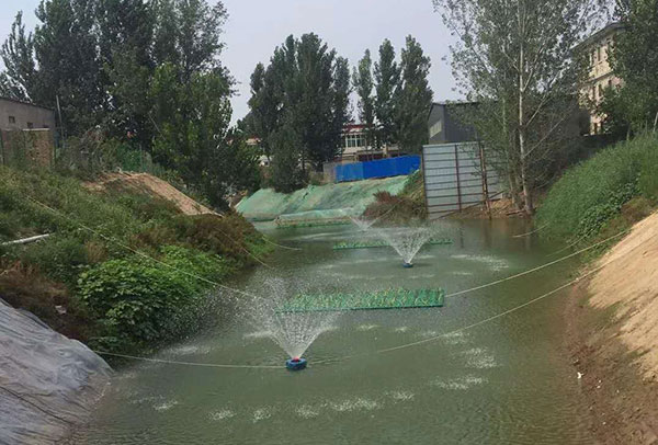 河道、納污坑塘治理修復(fù)類(lèi)